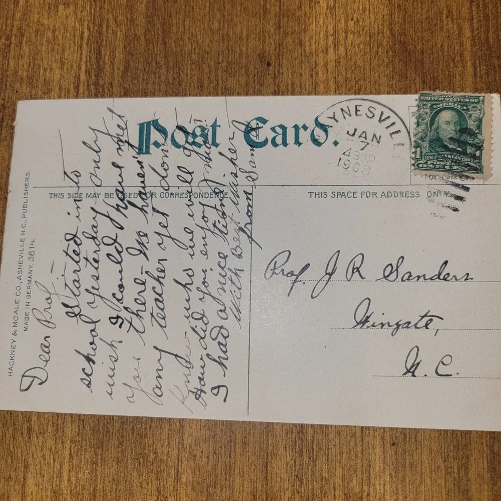1908 Ivy Gap Craggy Mountain‎ Asheville NC Postcard Land of the Sky 1¢...